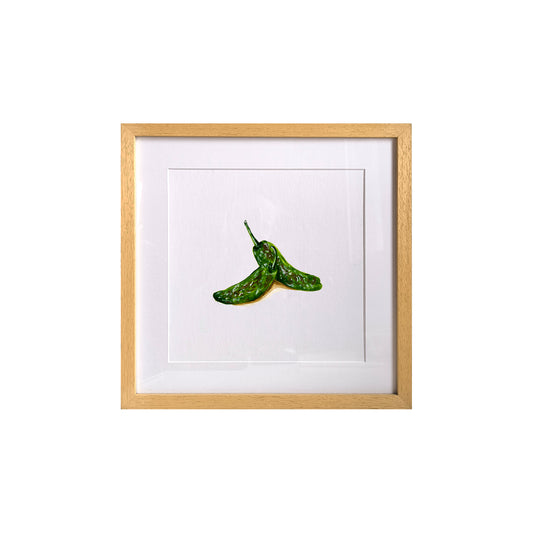 Pimientos de padrón